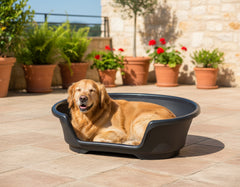 Goldener Retriever entspannt in dunkelgrauem Hundebett, umgeben von Pflanzen und Blumen, genießt die Sonne.