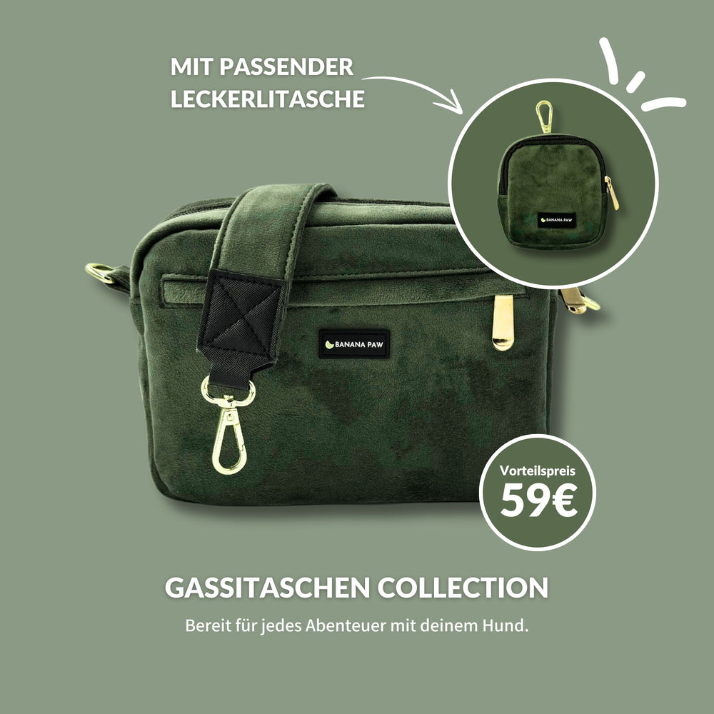 Gassitasche Samt + Leckerlitasche (Forest Glow)