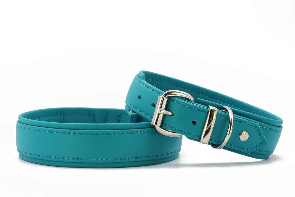 "Turquoise Hundehalsbänder aus PVC, eines mit verstellbarer Metallschnalle und gepolstertem Design."
