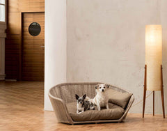 Rundes VOGUE Design-Hundebett CHIC im modernen Innenraum mit zwei entspannten Hunden und Holzboden.