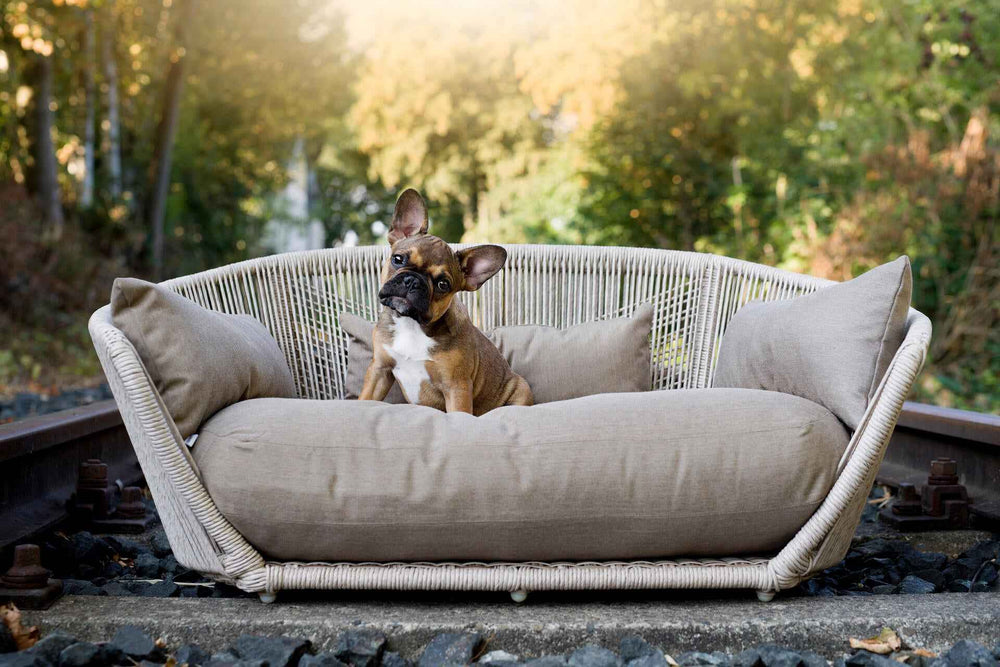 "Design-Hundebett CHIC von VOGUE, ideal für französische Bulldoggen, umgeben von natürlichem Grün."