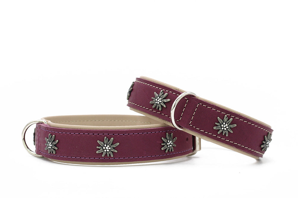 Zwei elegante Hundehalsbänder in Purpur mit silbernen Blütenapplikationen und lederartigem Material.