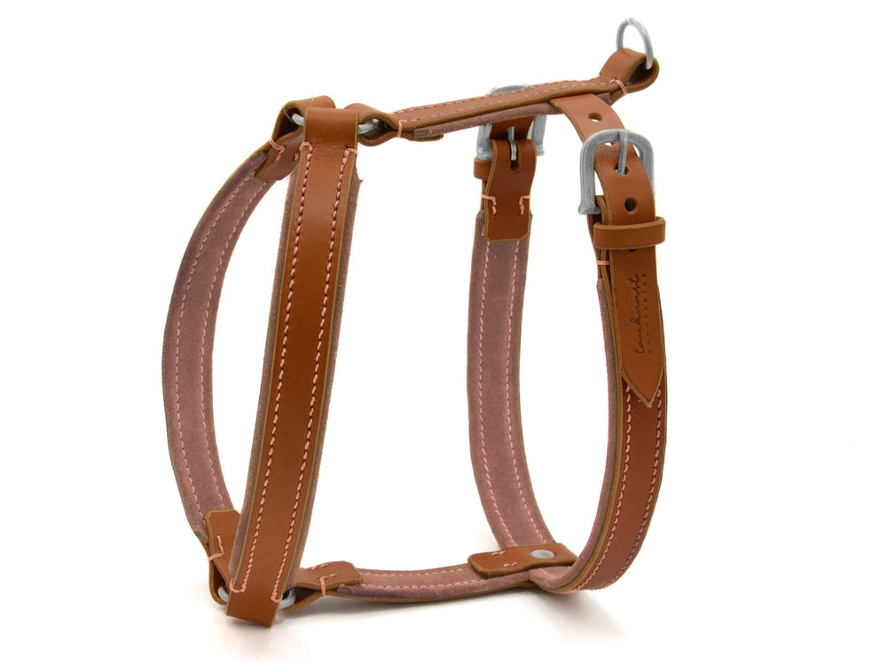 Hochwertiges Hundeharness aus braunem Leder mit verstellbaren Gurten und robusten Metallbeschlägen.