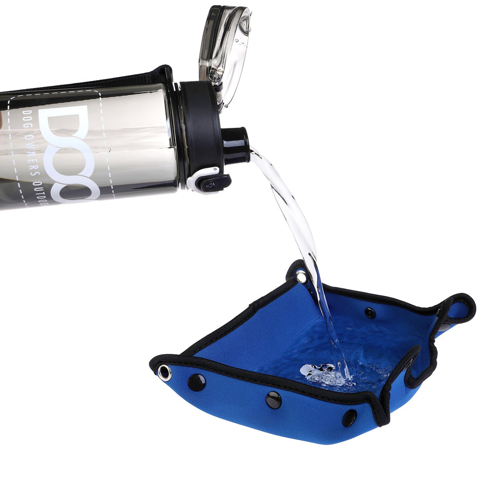 Transparente DOOG Wasserflasche, die Wasser in eine faltbare blaue Schüssel mit schwarzen Rändern gießt.