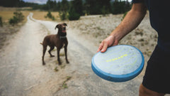 Mann mit Camp Flyer™ Frisbee für Hunde, während neugieriger Hund im Grünen steht.