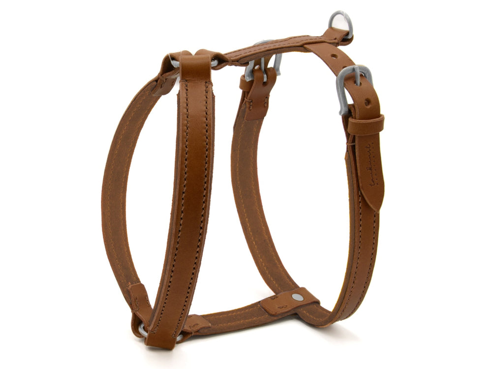 Braunes Hundegeschirr aus Leder, schlicht und funktional, mit verstellbaren Riemen und robusten D-Ringen. Hochwertige Verarbeitung.