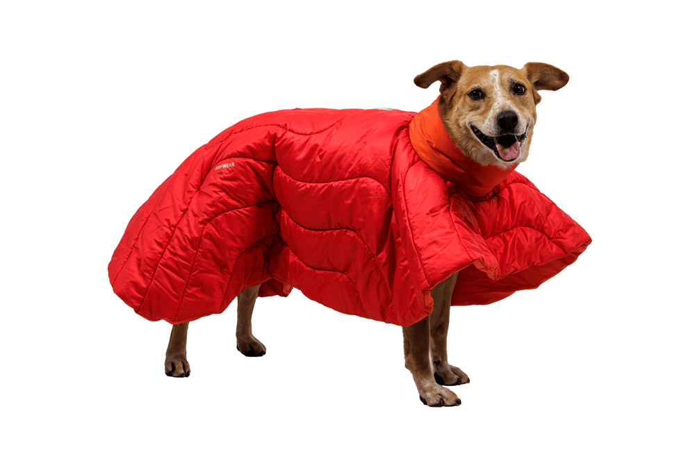 Ein freundlicher Hund trägt einen roten, wattierten Palisades™ Schlafponcho mit Kapuze in lockerer Passform.