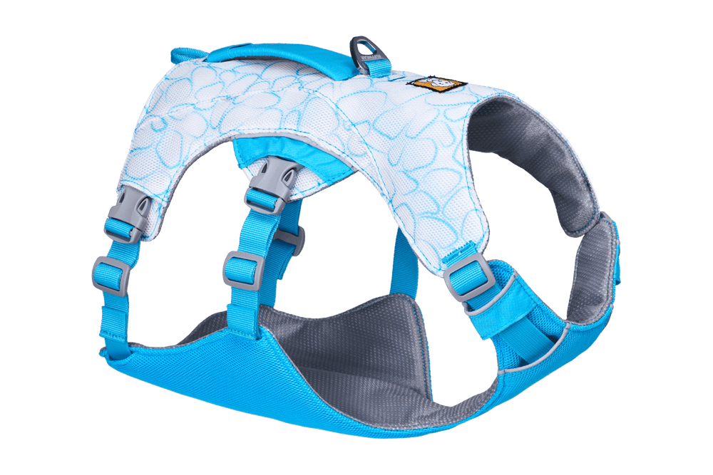 Blaues Swamp Cooler™ Hundegeschirr mit verstellbaren Riemen und gepolsterter Innenseite für optimalen Komfort.