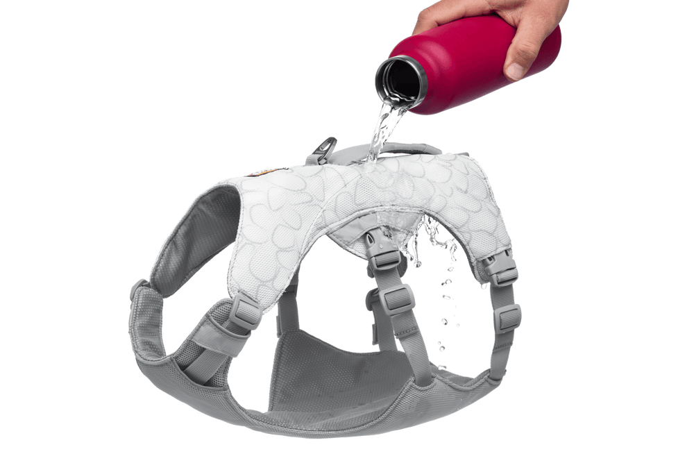 Graues Swamp Cooler™ Hundegeschirr mit Wasserbefüllung, gepolstert für maximalen Komfort und individuelle Anpassung.