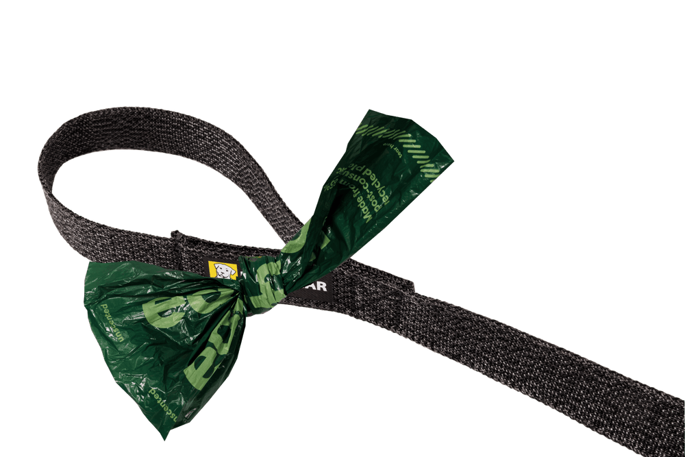 "Front Range™ Flex Leine in Grau mit grünem Beutel zur Abfallentsorgung, ideal für hundefreundliche Ausflüge."
