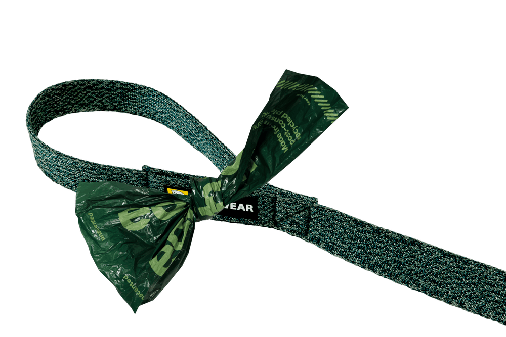 Grüne strapazierfähige Leine mit Schlaufe und transparenter Tasche für Hunde. Ideal für Spaziergänge und sicheres Training.
