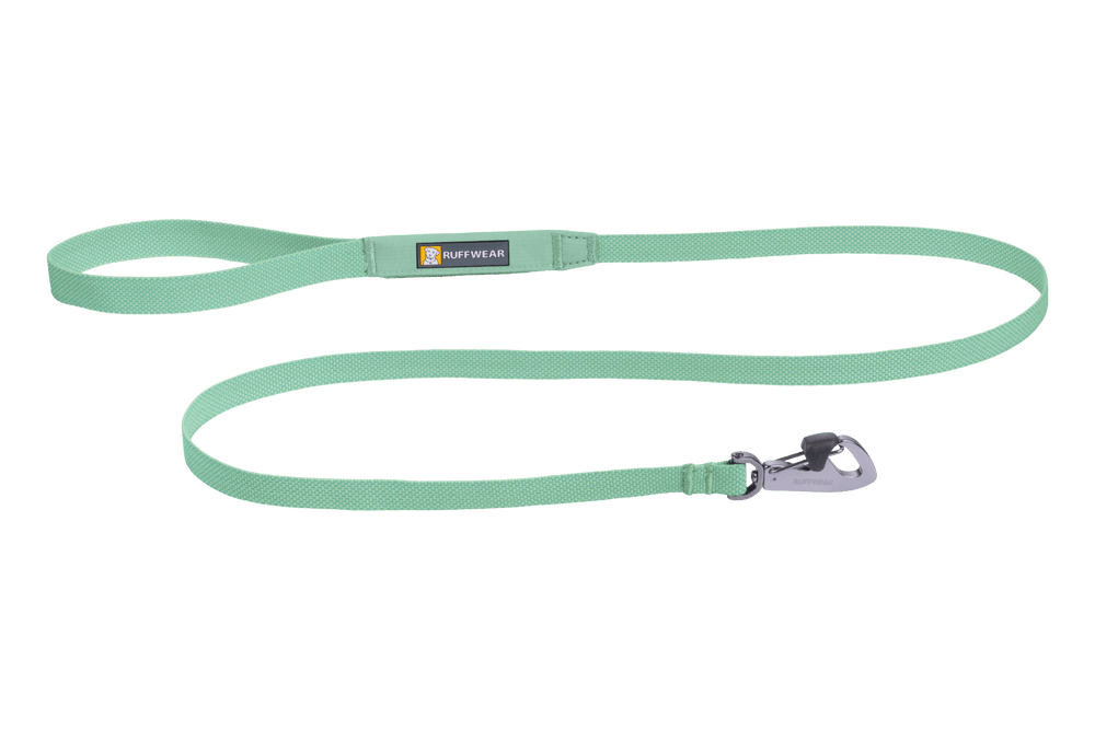Leichte grüne Hundeleine aus strapazierfähigem Material mit Halteschlaufe und Karabinerhaken für Geschirr.
