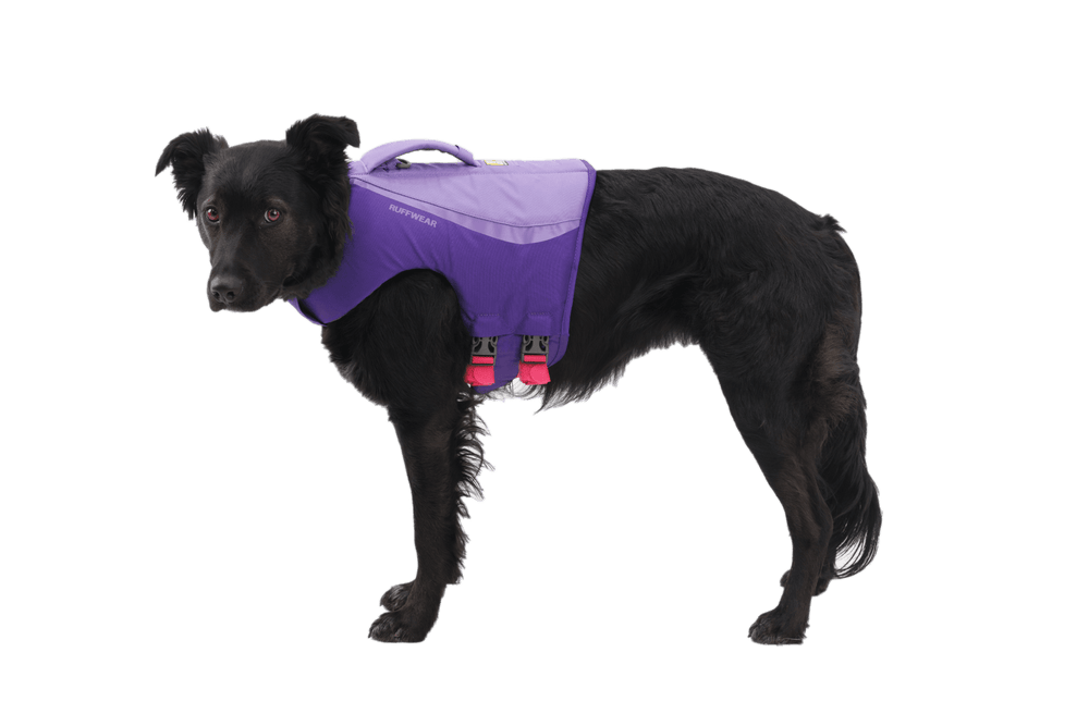 Hund in lila Float Coat™ Schwimmweste mit ergonomischem Design und Griff für Sicherheit im Wasser.