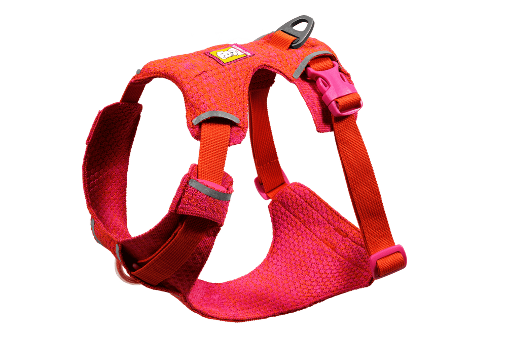 Rotes Front Range® Flex Hundegeschirr aus strapazierfähigem Material mit verstellbaren Riemen und Reflexionselementen.