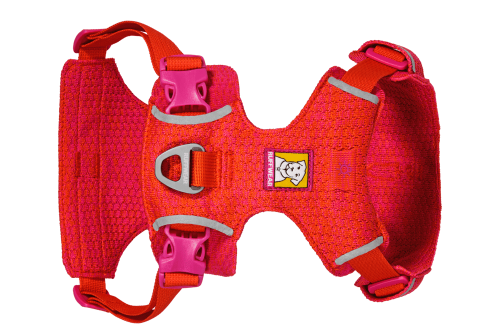 Neonrosa Front Range® Flex Geschirr für Hunde mit verstellbaren Riemen und robustem Material, ideal für aktive Abenteuer.