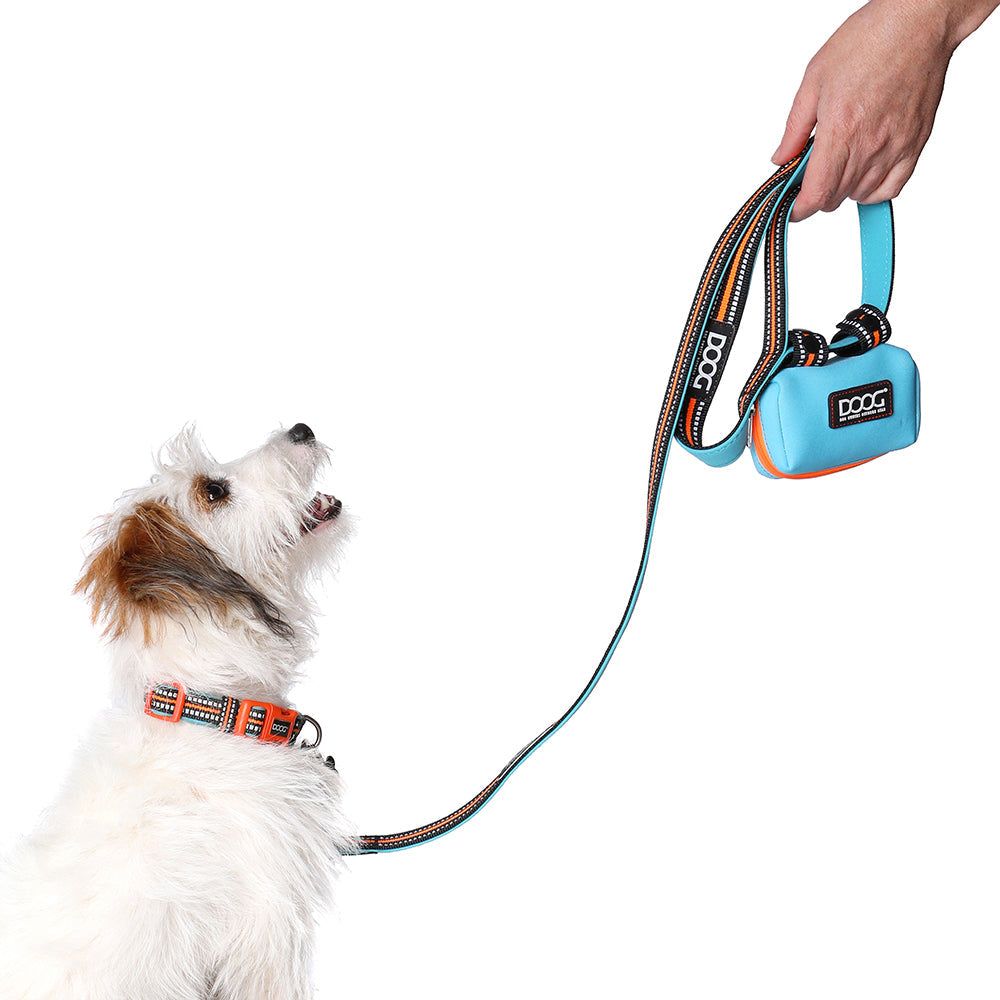 "Hund an blauer Leine mit praktischer Tasche für Kotbeutel; Halter hält Leine in schlichtem Hintergrund."