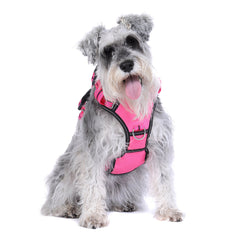 Hund mit grauem, lockigem Fell trägt pinkes Geschirr der DOOG Neotech Collection, sitzt freundlich auf weißem Hintergrund.