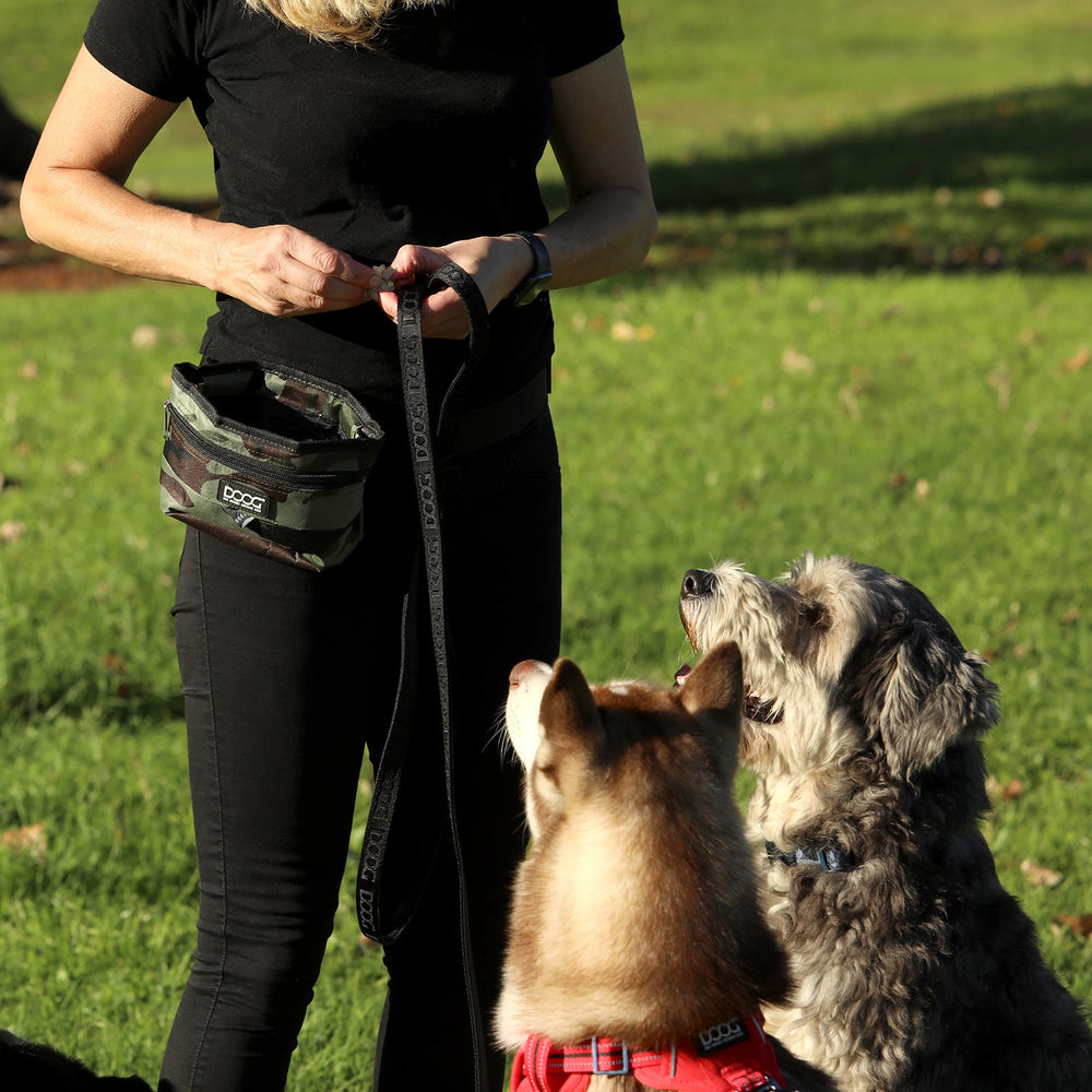 Person mit zwei Hunden, einer braun im roten Geschirr, beim Spielen mit DOOG Leckerchen-Tasche.