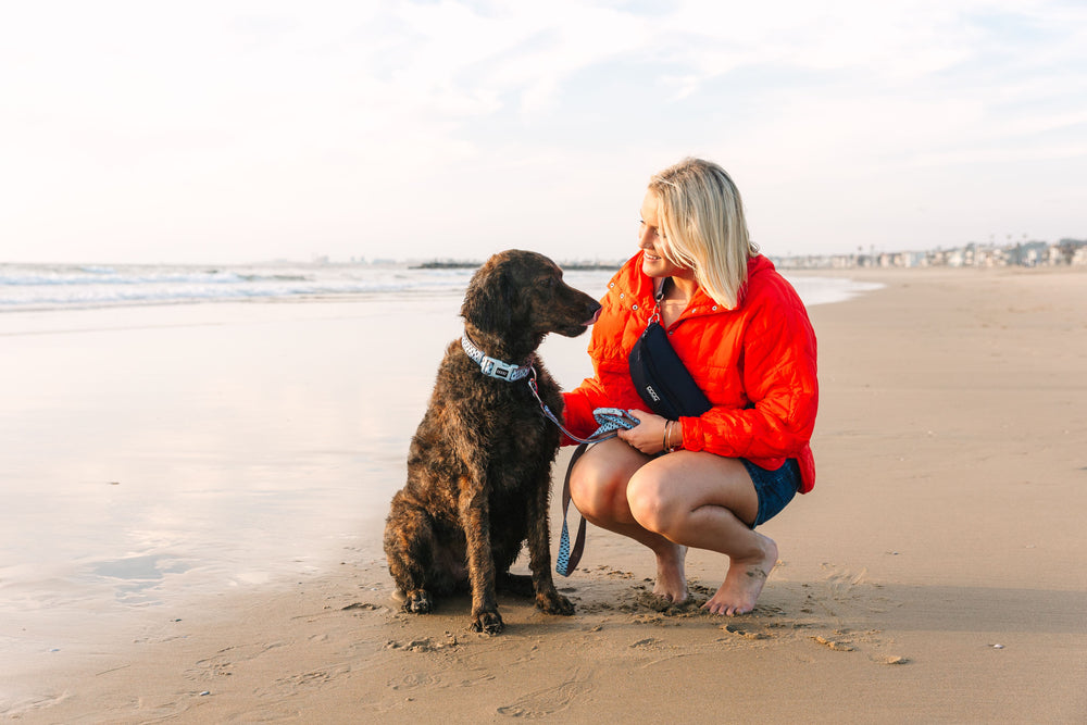 Frau in roter Jacke am Strand mit entspanntem Hund an einem Neoprene Halsband, Ozean im Hintergrund.