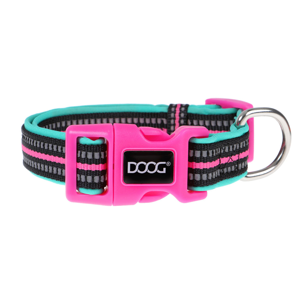 Schwarzes Neopren-Hundehalsband mit bunten Streifen in Pink und Türkis, ideal für Spaziergänge und mit robustem D-Ring.