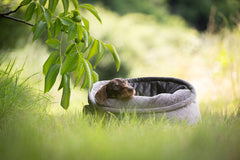 Gemütlicher Hund liegt neugierig in einem Hundekorb Catty Caro im Gras, umgeben von grünen Wiesen und Bäumen.