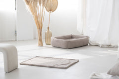Beige Hundedecke Teddy in hellen Raum mit Pampasgras und sanftem Licht. Ideal für Haustiere und stilvolle Wohnräume.
