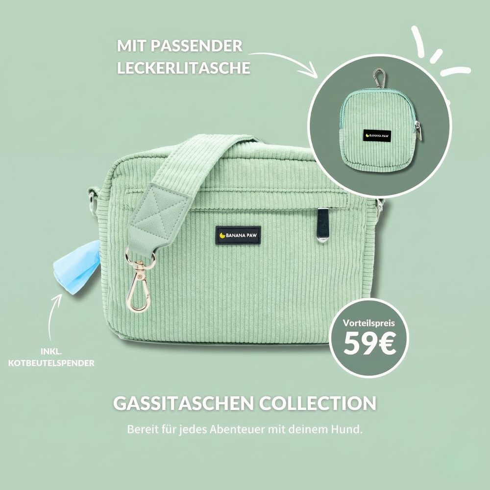 Gassitasche Cord + Leckerlitasche (Mint Bliss)