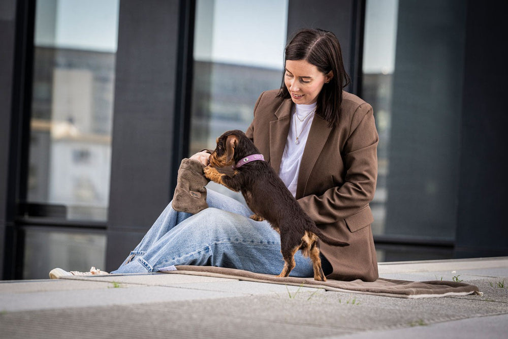 Frau in brauner Jacke spielt mit kleinem Hund im Halsband Mini Diamond auf dem Boden.