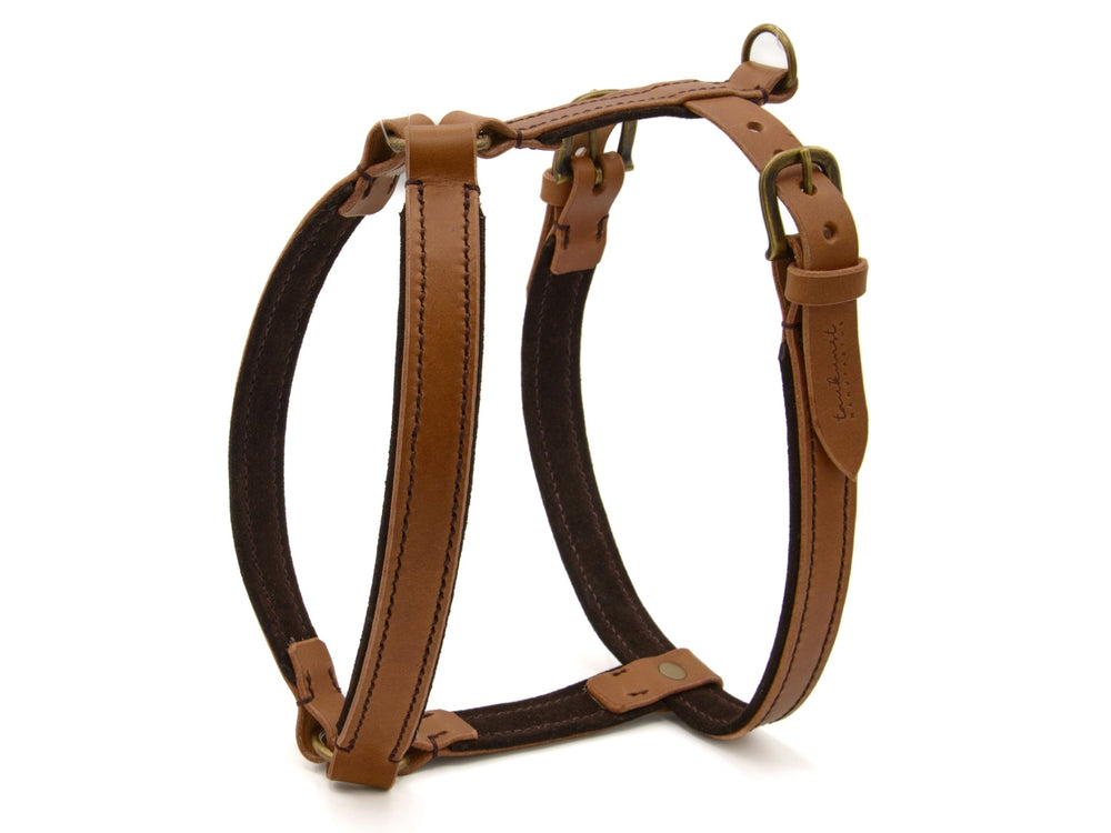 Elegantes Ledergeschirr WILDFANG in Braun mit verstellbaren Riemen und stabilen Metallbeschlägen. Ideal für Hunde.