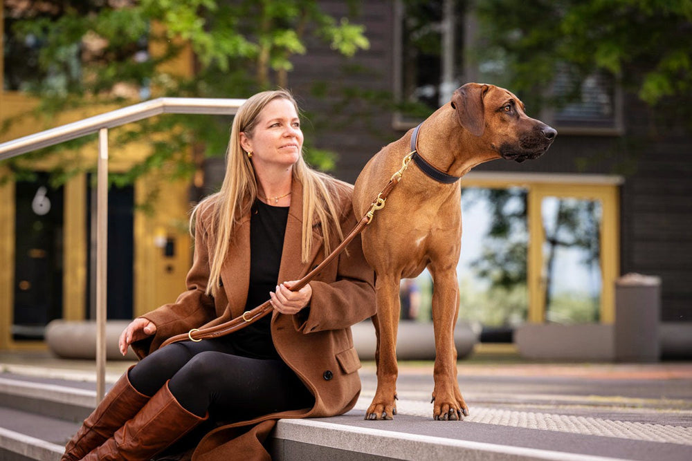 Frau mit braunem Mantel sitzt neben ihrem großen, braunen Hund auf einer Sitzgelegenheit.