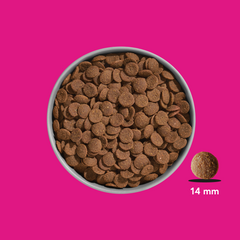 FRED Premium Trockenfutter für Hunde mit Schweinefleisch, getreidefrei, nährstoffreich, in Schüssel mit Pellets.