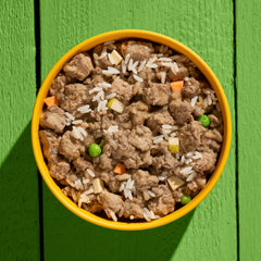 Vegane Hundenahrung GREEN PLANET Kein Huhn in Schüssel mit Reis und Gemüse auf grünem Untergrund, nährstoffreiche Alternative