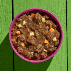 Vegane Hundenahrung GREEN PLANET Kein Pferd in Schüssel mit pflanzlicher Fleischsauce und Gemüse auf grünem Hintergrund.