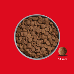 FRED Premium Trockenfutter Rind & Pferd in Schüssel mit braunen Pellets, getreidefrei für aktive Hunde, 30% Fleischanteil.