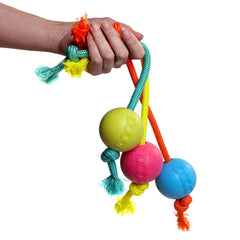 Bunte Gummibälle mit Leinen in Hand gehalten – Fetch-N-Tug Spielzeug für aktive Hunde.