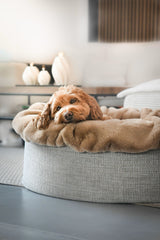 Hund liegt entspannt in runden Buddelnest® Hundebett mit grauem Rand und beiger Liegefläche in moderner Wohnumgebung.