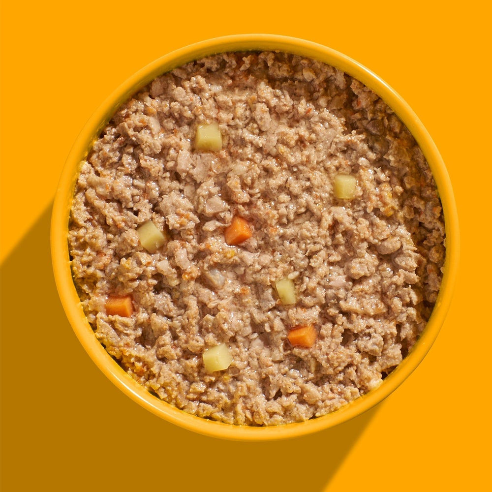 FELIA Huhn Nassfutter 2er Set in cremiger Sauce mit Hähnchen, Gemüse und Obst auf orangefarbenem Hintergrund.