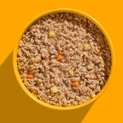 FELIA Huhn Nassfutter 2er Set in cremiger Sauce mit Hähnchen, Gemüse und Obst auf orangefarbenem Hintergrund.