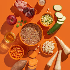 FELIA Pute 2er Set mit frischem Putenfleisch, Gemüse und Obst auf orangefarbenem Hintergrund, ideal als Tierleckerli.