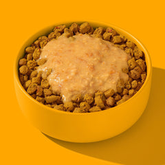 FRED Smoothie Huhn mit Kurkuma in gelber Schüssel, cremige Paste auf knusprigen Futterstücken, idealer Snack für Hunde.