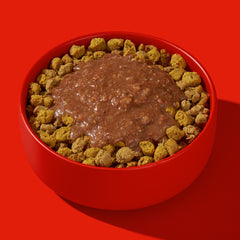 FRED Smoothie Rind mit Hagebutte in roter Schüssel, kalorienarmer Snack für Hunde, ideal als Topping oder gefrorenes Hundeeis