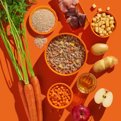 FRED Pute mit Kartoffeln für aktive Hunde, proteinreich und fettarm, präsentiert mit frischen Zutaten auf buntem Hintergrund.