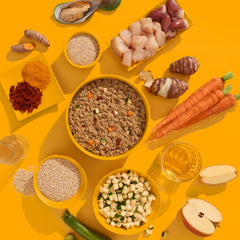 Nassfutter FRED Huhn (SENIOR) für ältere Hunde mit gesunden Zutaten auf buntem Hintergrund.