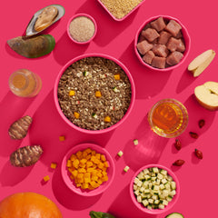 FRED Schwein Seniorfutter für aktive ältere Hunde mit gesundem Gemüse und Zutaten auf pinkem Hintergrund.