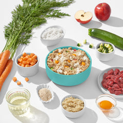 FRED VET Low Protein in türkisfarbener Schüssel mit frischen Zutaten für nierenbelastete Tiere zur Diätunterstützung.