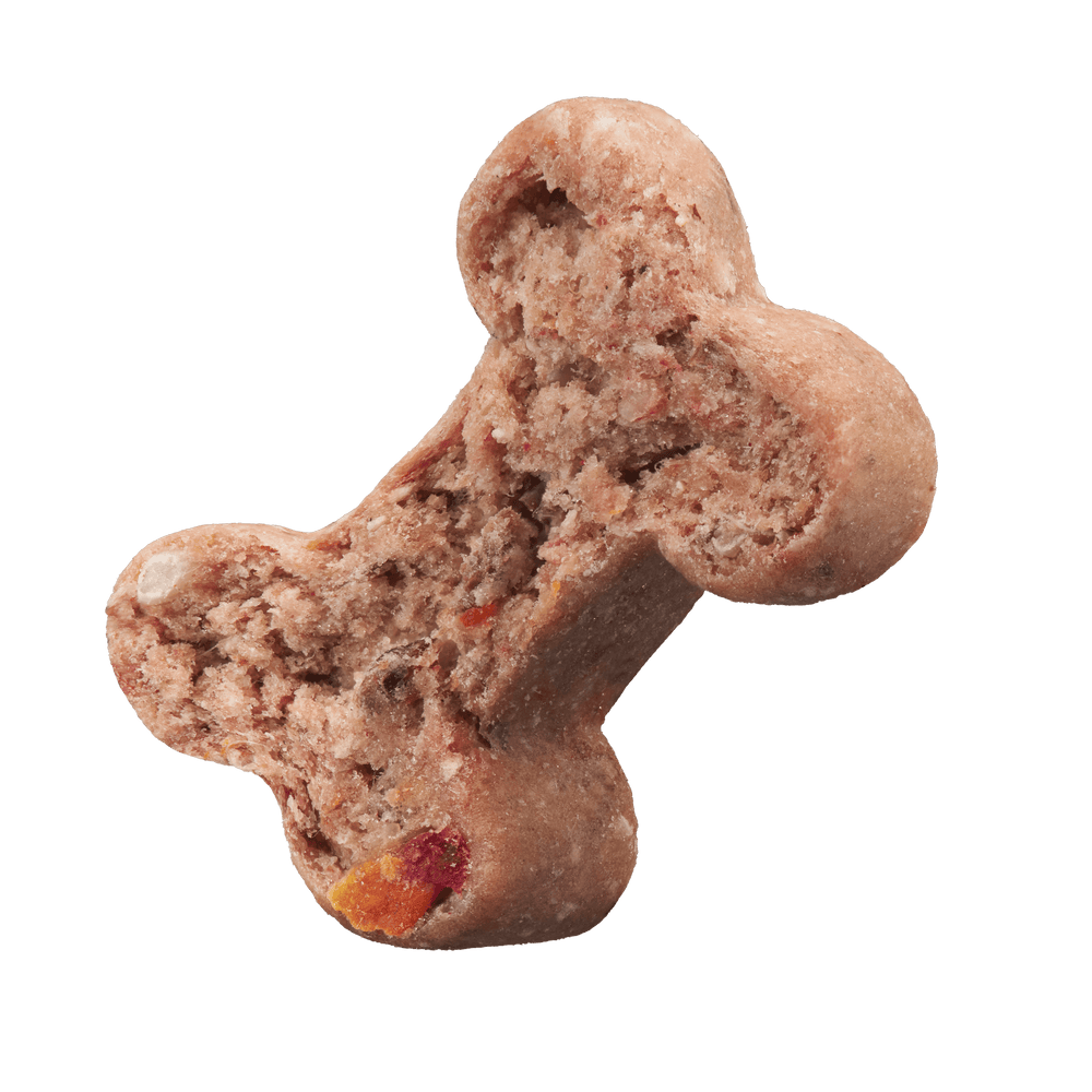 Kleine, getreidefreie Hundekekse in Knochenform mit Rote Bete, ideal als Trainingsbelohnung für Hunde.