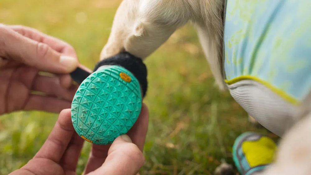 "Grip Trex™ Hundeschuhe mit rutschfester Sohle, ideal für aktive Hunde im Freien."