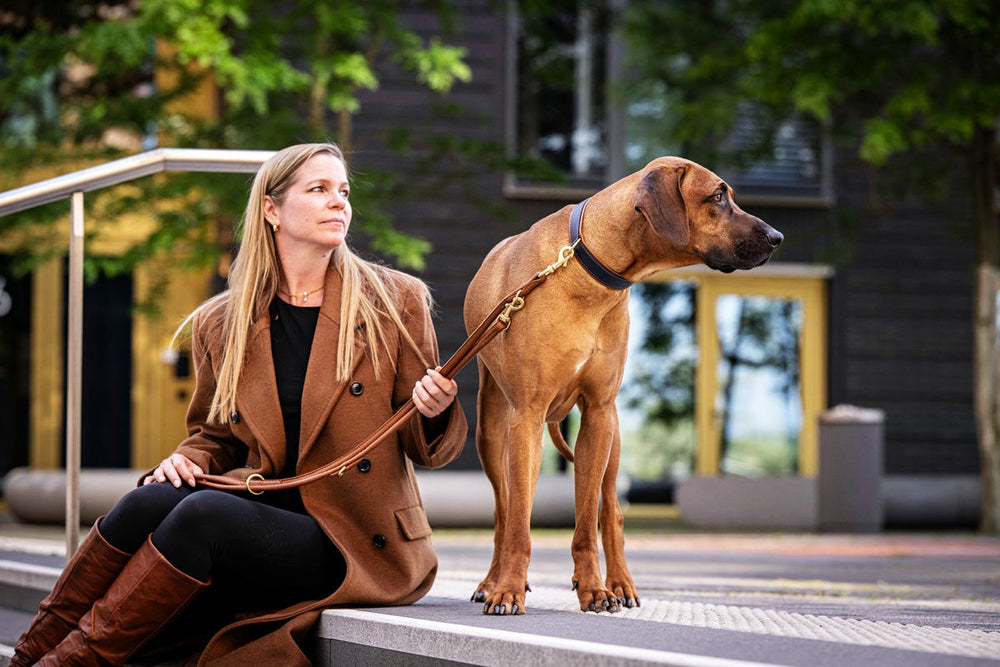 Frau im braunen Mantel sitzt mit ihrem braunen Hund auf einer Mauer und schaut nachdenklich in die Ferne.