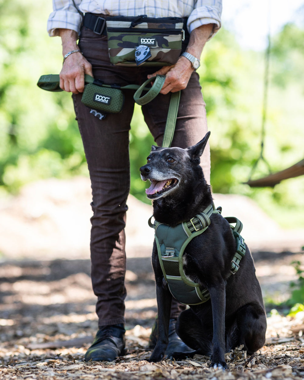 "Hund mit grünem Geschirr neben Person mit camouflaged Bauchband in natürlicher Landschaft."