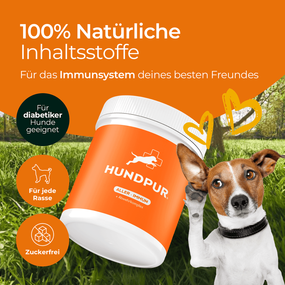 Aller-Immun mit Abwehrkomplex